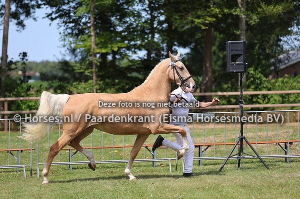 36 Sierra Springh WFTM