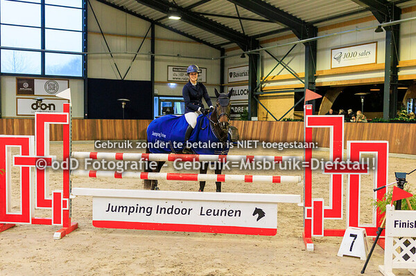 JIL 2025 Paard 100cm 04-01-25