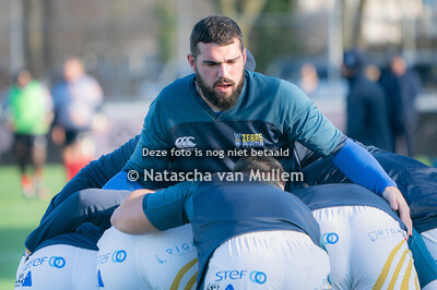 2025-01-12 Rugby: Cheetahs-Zebre Parma (m)