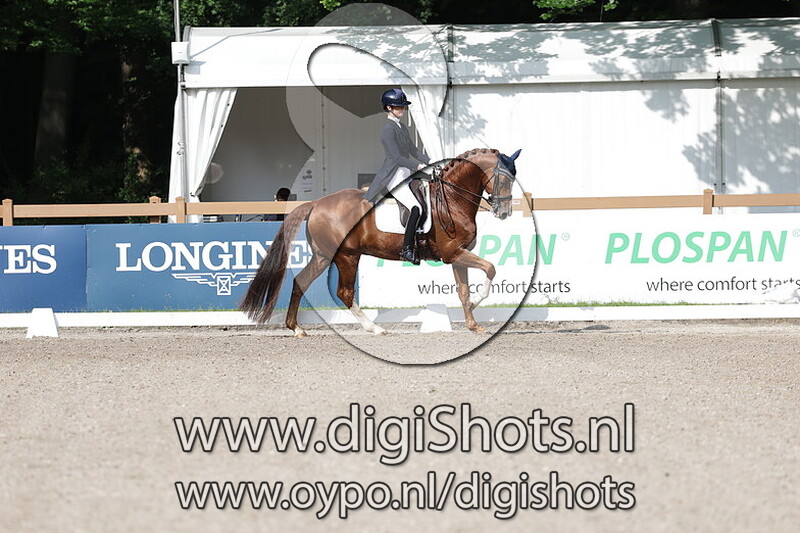 Greenpoint's Hotmail V