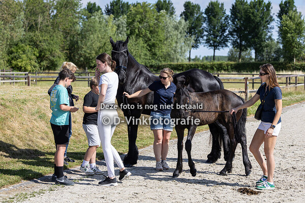 18. Deftige dame fan 't Koetsveld