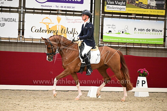 Marten Luiten - Paparazzi