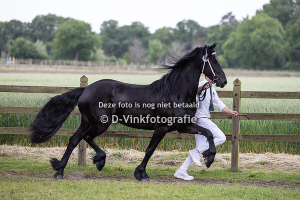 14. Victoria e van de Greephorst