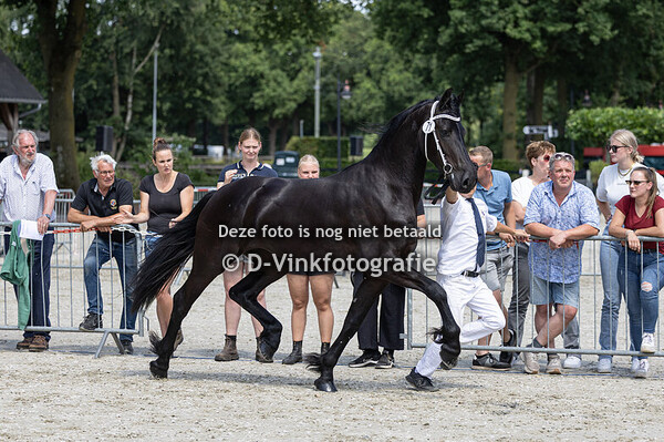 71. Yve fan Dahliahof