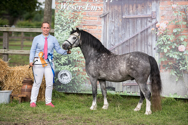 Regionalschau Weser Ems