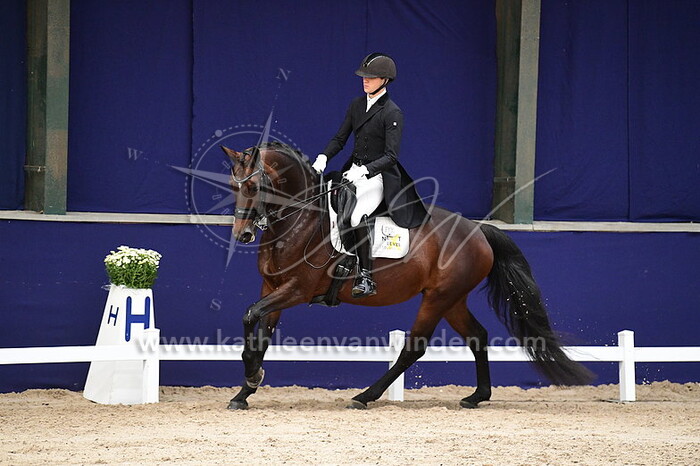 Tom Verhoeven - Next Level's Inthi Dame