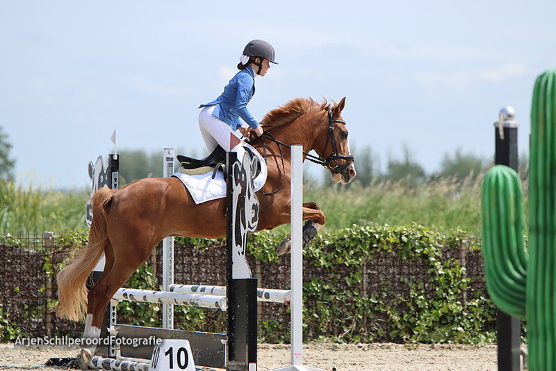 CH Dokkum 18-06-2022 Pony's 60-70cm