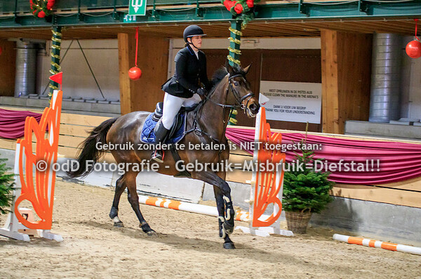 NY Jumping Warredal Finals 5y Horses 08-01-22