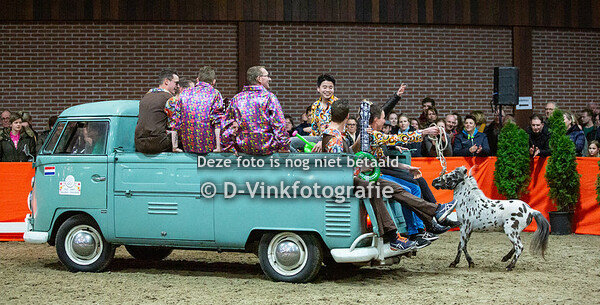 Hengstenshow Nieuwe heuvel 2019