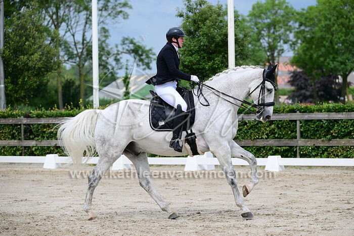 Kim Ruijsestein - Hamilton M