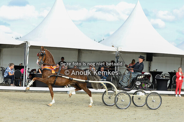 Huldiging Kampioenen