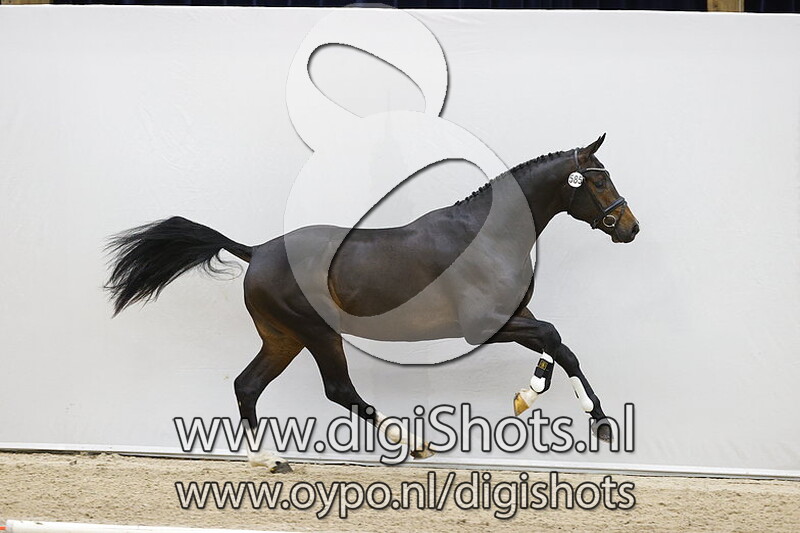 585 For Romance x Robespierrot