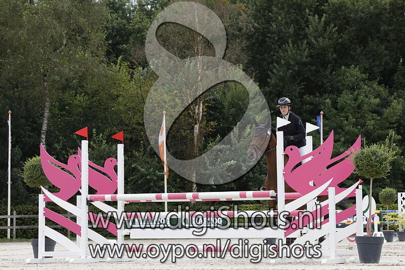 Paarden 1.00 m 1e ronde