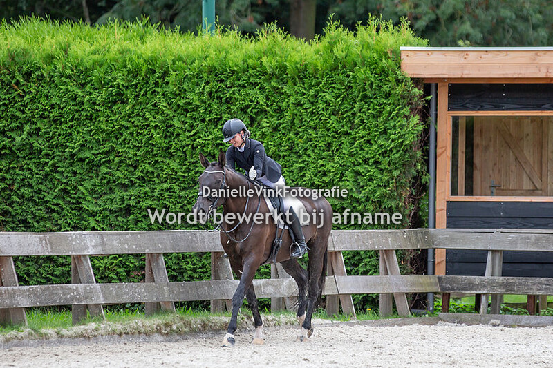 Naomi Nijgh - Teca's Ennia