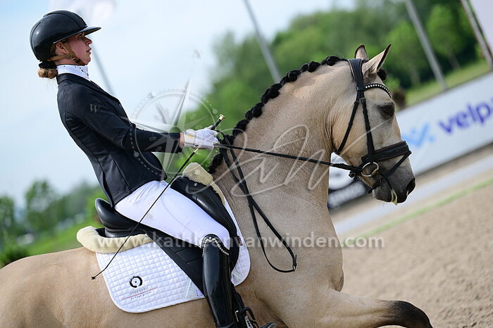 Ingrid Gerritsen - Project X