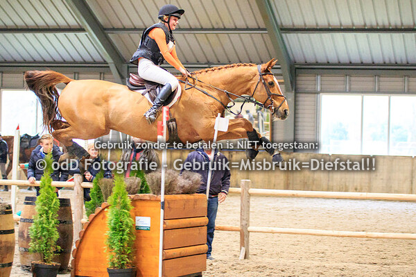 Indoor Brabant Horse Trials Udenhout Z 07-12-19