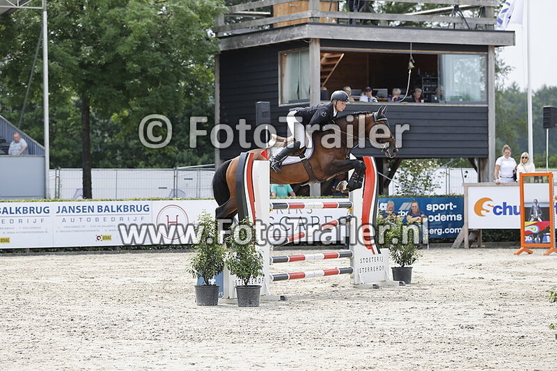 dennis van den brink