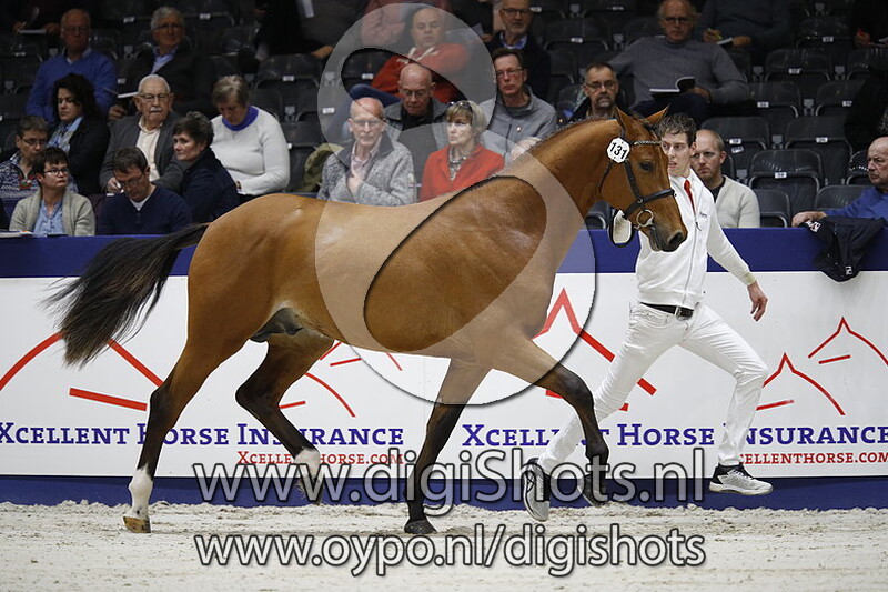 Lesotho S v. Glenfiddich VDL