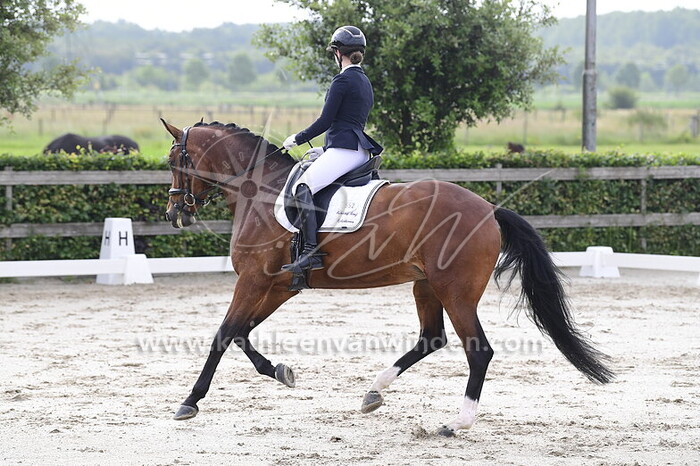 Lemoni Dicker - Ourrilena