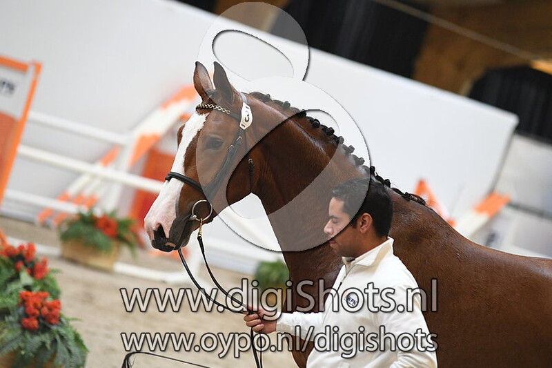 Mazzel v. Aganix du Seigneur