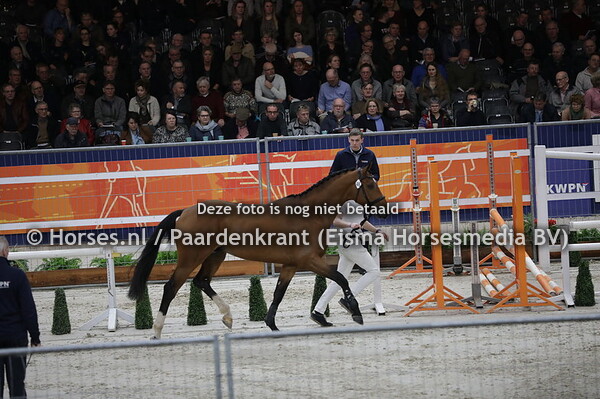 46 Meilleur Tarpania (Comme il faut x Nabab de Reve x Contender)