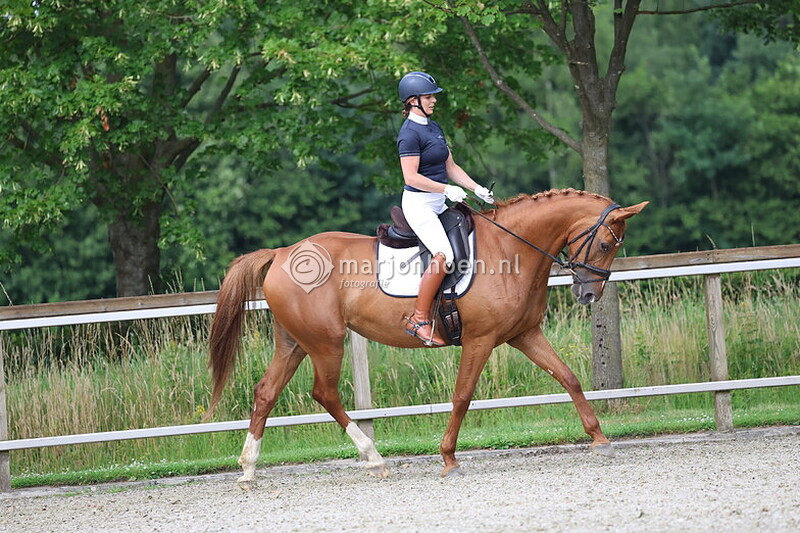 50_HAAKSBERGEN_AVONDDRESSUUR_27JUNI2025