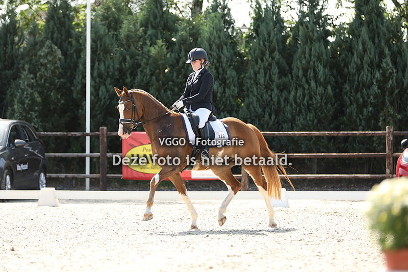 16.30-18.00 uur Ring 3 & 4