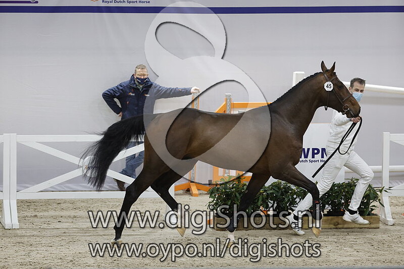 O Blue v. Chacco Blue