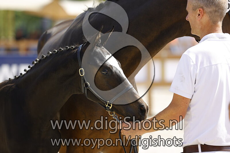 Thoreya Salland v. Nashville Star