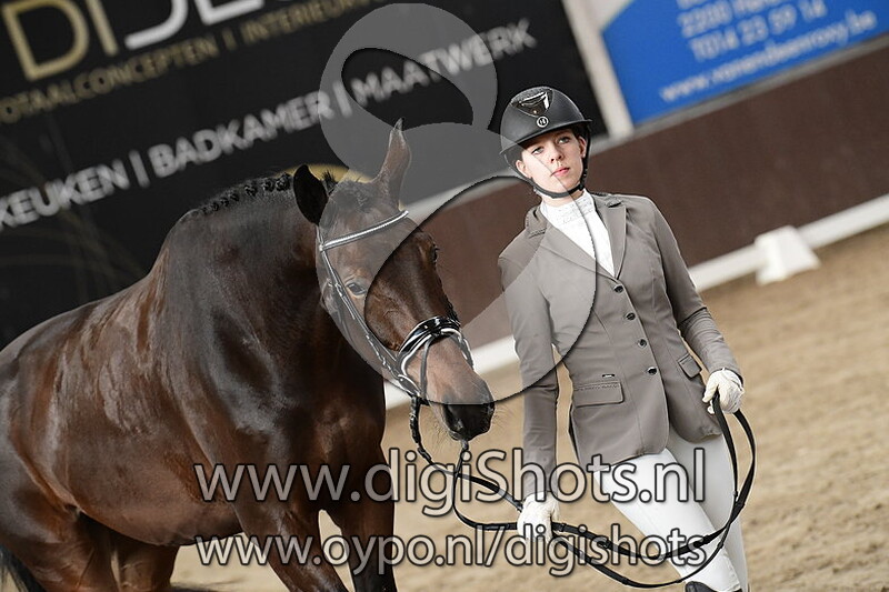 Stardancer van de Kempenhoeve