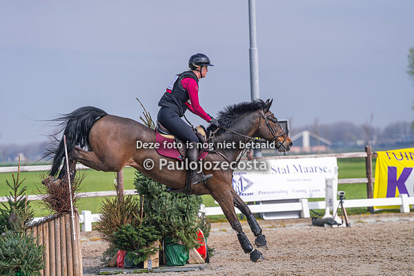 M paarden 31/03/2024