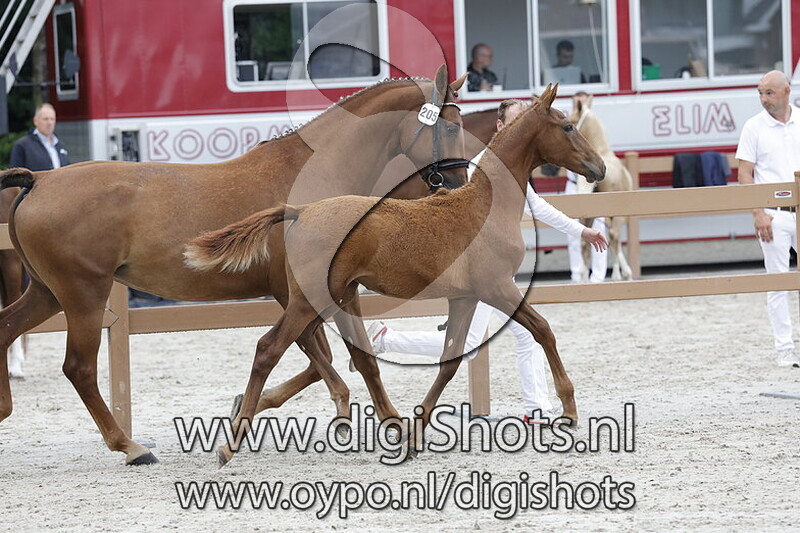 Virginia VB v. One Million