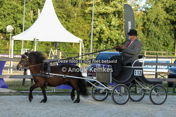 Shetlanders Enkelspan 