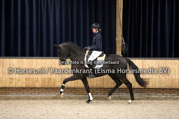 KWPN najaarsonderzoek 21-22 Dressuurhengsten