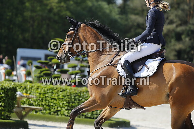 marleen van der burg