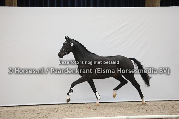 541 Painted Black x Ed King Hill