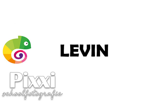 Levin