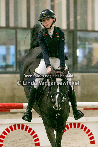 indoor pony's Overpelt