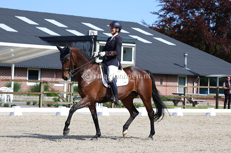 20-TKHSUBTOP_ZZZ-tm11.40_3MEI2025