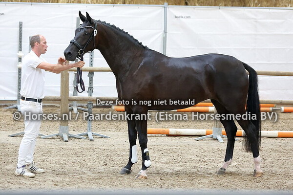 33 Savanta (For ferrero x Covanta v. Oscar)