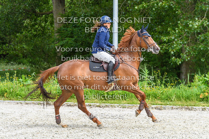 5 Paarden 100cm