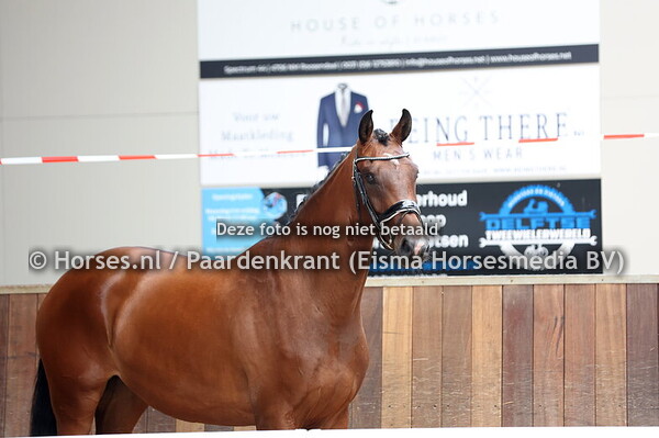 30 Super Star VS (Florida TN x new Star v. Valverde)