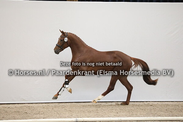 357 Dream Boy x United