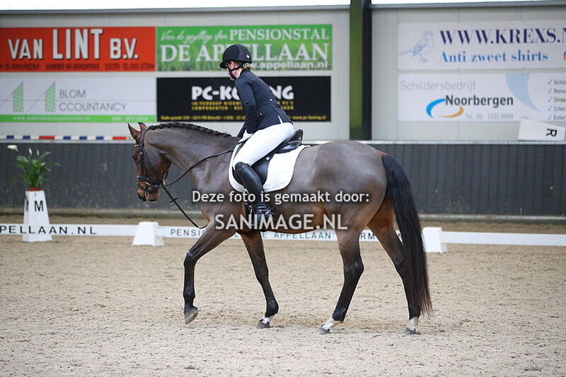 De Voornruiters Dressuur 16-12-2023 12.30-14.00 uur