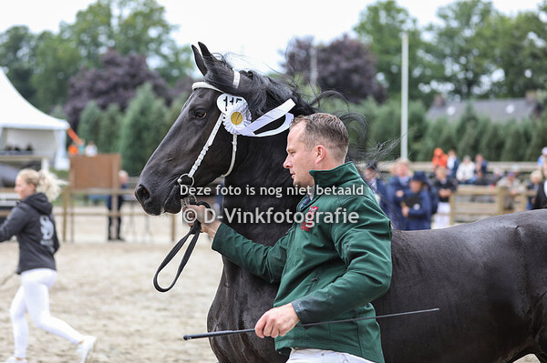 115. Noralien fan de Ketting