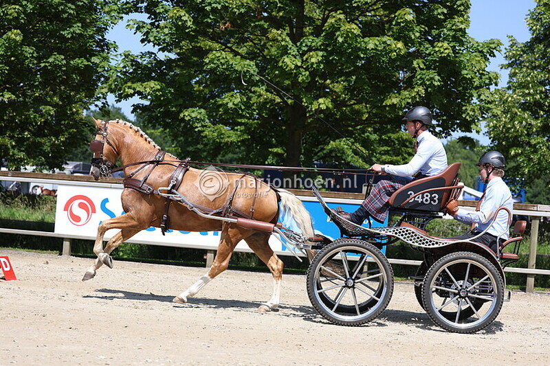 30_MENNEN_vaardigheid_Haaksbergen-middag_21juni2025