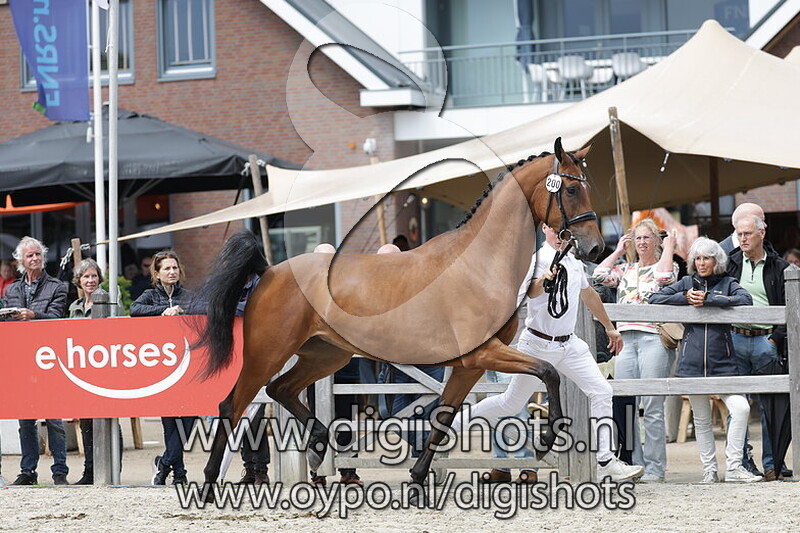 So Elegant STH v. Valverde