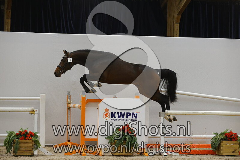 Number One v. Diamant de Semilly