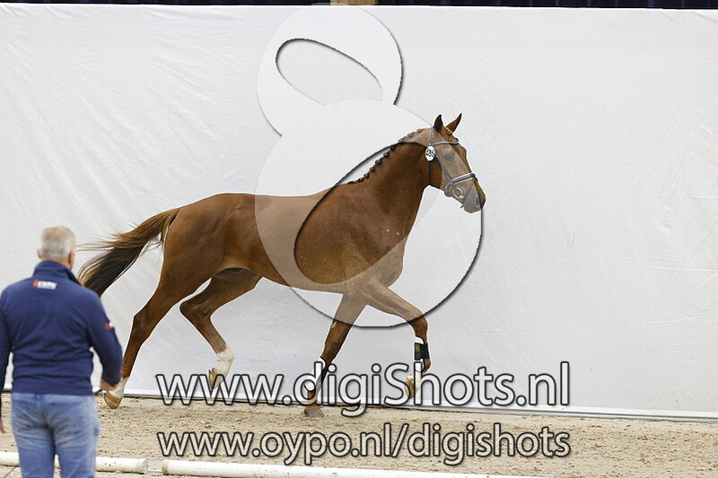 Nervada v. Incognito