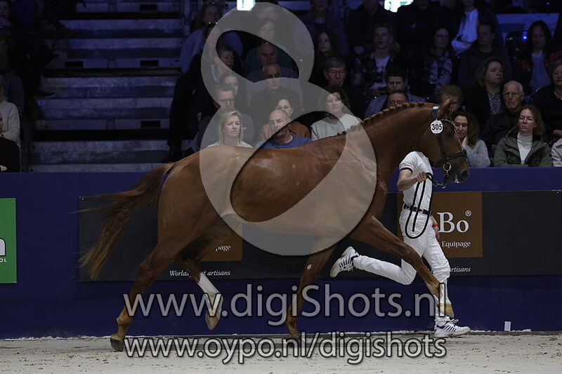 Royal Edition A. v. Blue Hors Monte Carlo Tc - 303